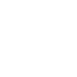 ABBVIE INC. Share Price